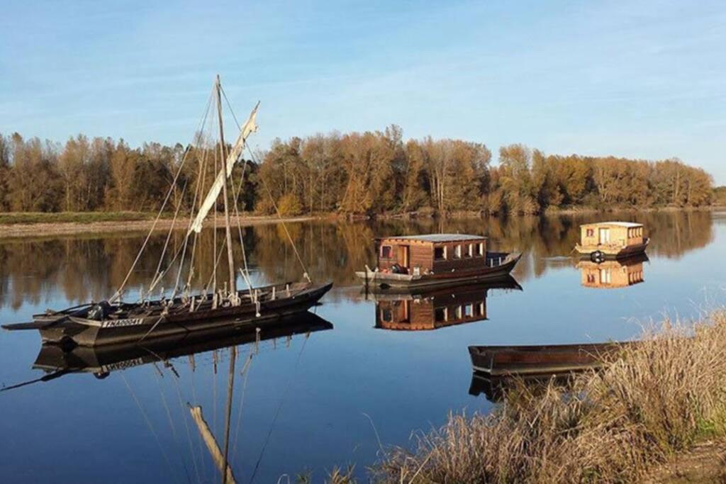 Gite La Gabare Entre Loire Et Chambord Villa Saint-Dyé-sur-Loire Екстериор снимка
